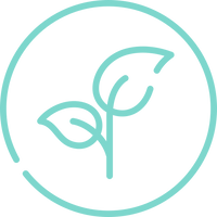 All-Natural Ingredients